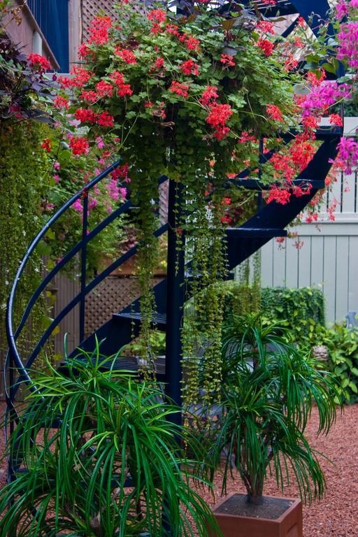 Le Cartier Bed And Breakfast Montreal Exterior photo